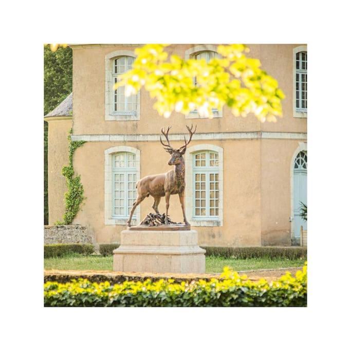 Chateau D'Ardenay Sur Merize Bagian luar foto